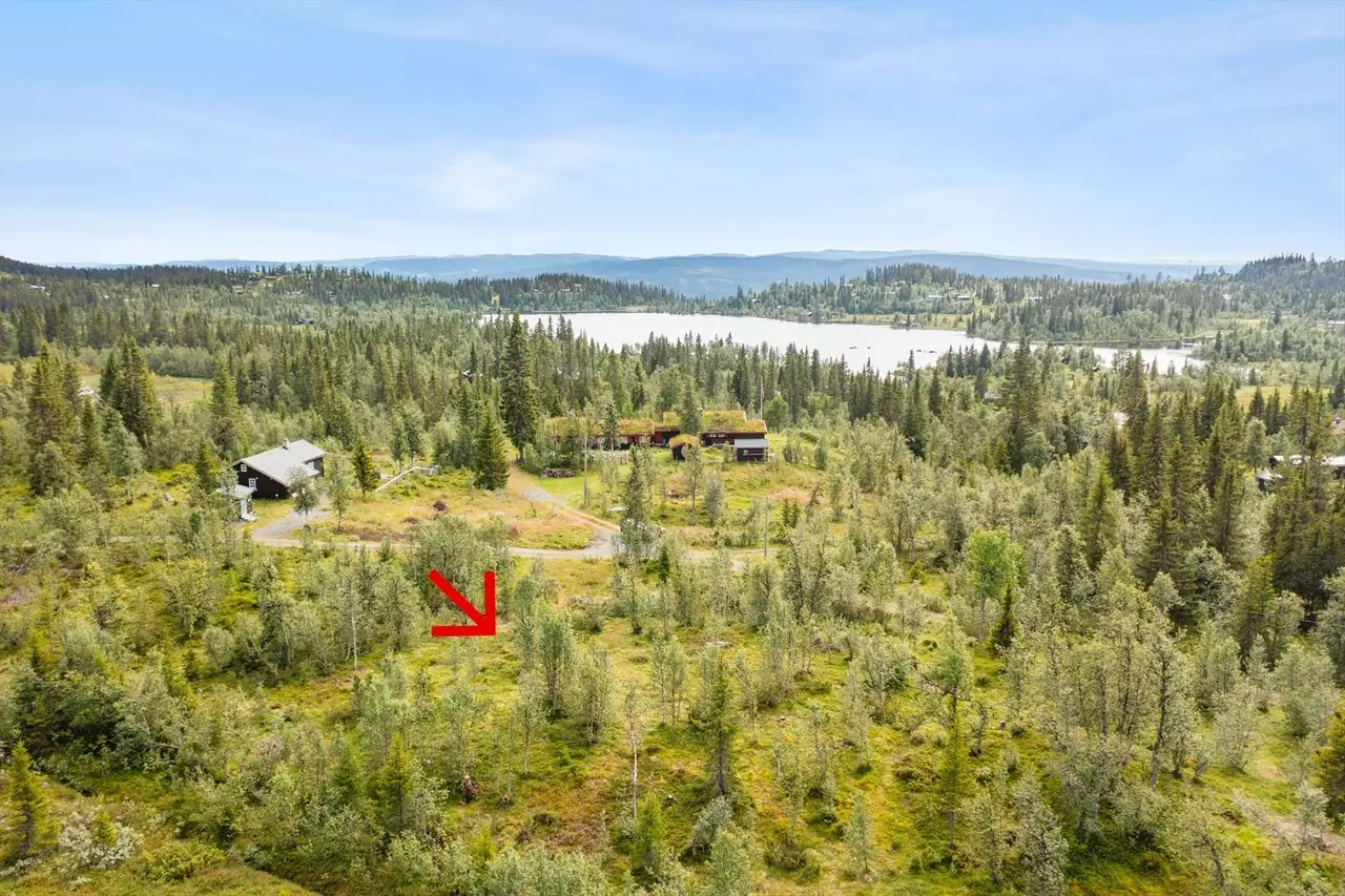 Binnhøvdvegen, Aurdal