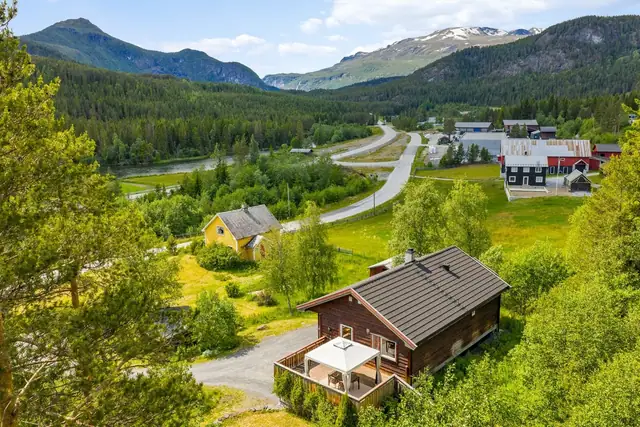 Tyinvegen 3787, Ryfoss