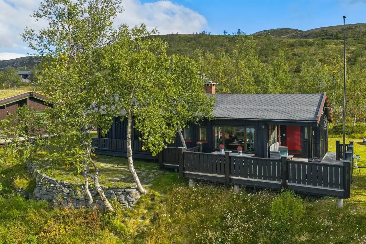 Nørre Grønekinnvegen 11, Beitostølen