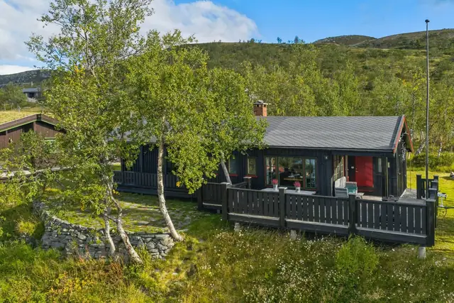 Nørre Grønekinnvegen 11, Beitostølen