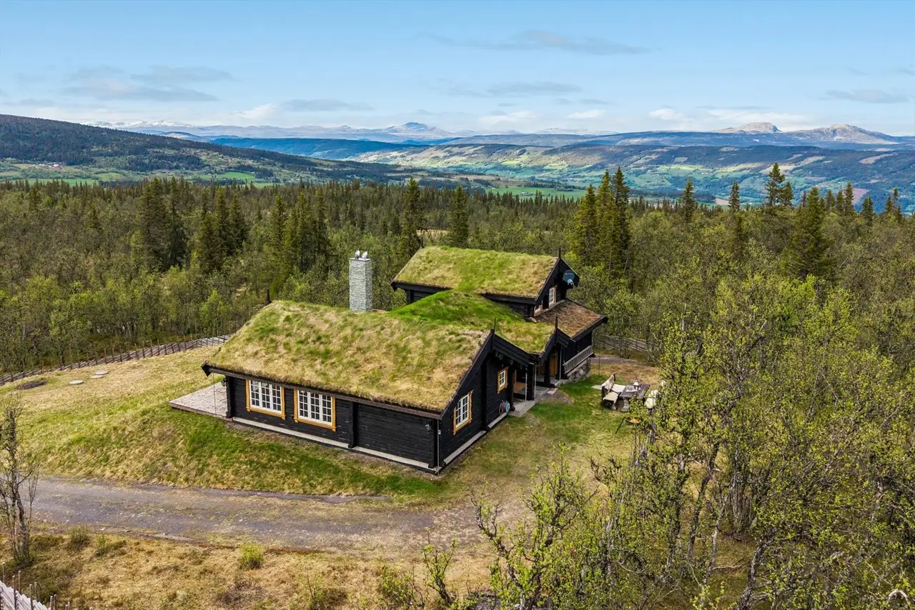 Skørvestølsvegen 134, Røn