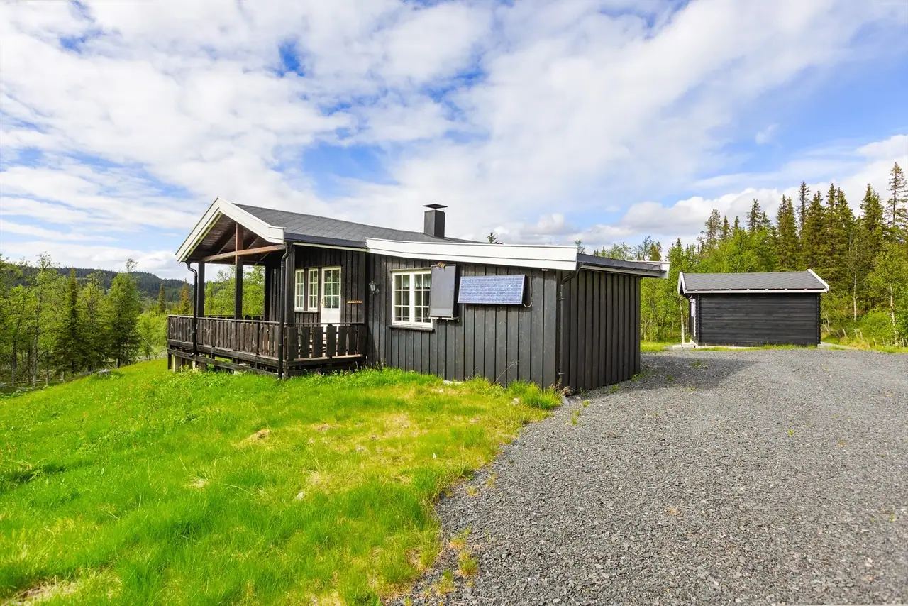 Liaåsvegen 399, Reinli