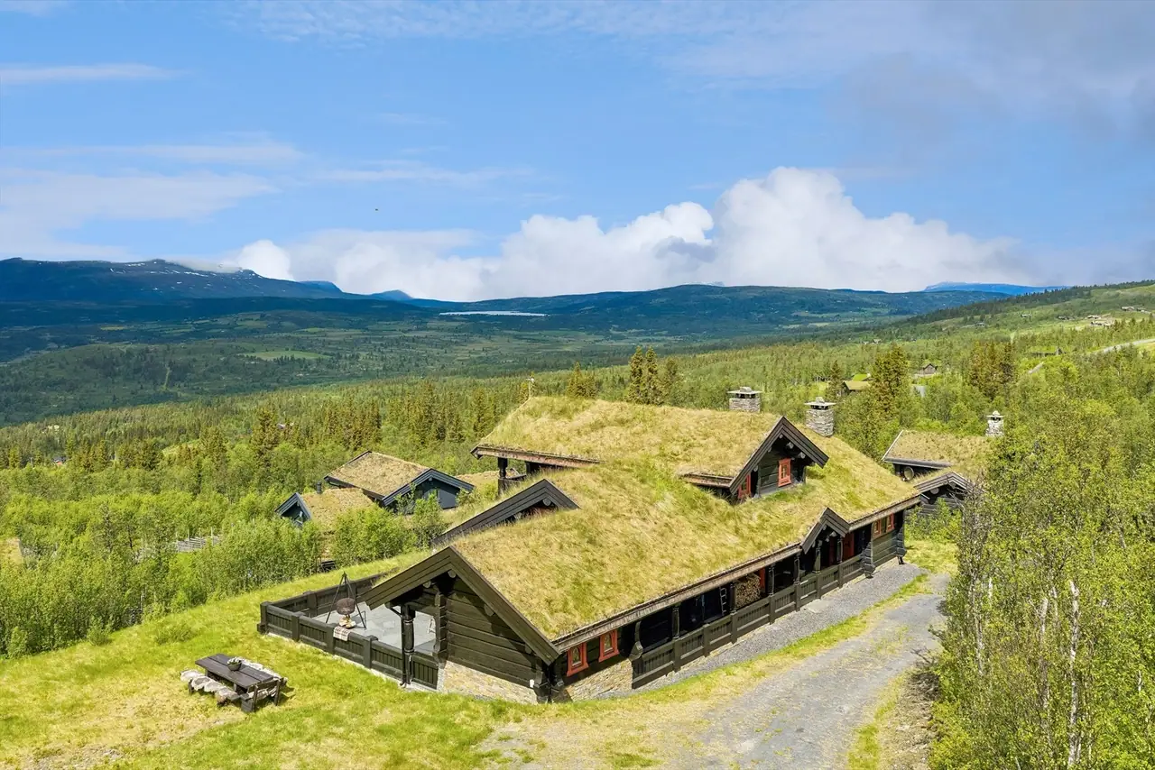 Ulvissvingen 5, Røn
