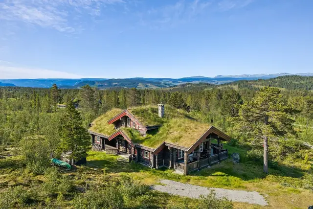 Midtre Javnlie 162, Skammestein