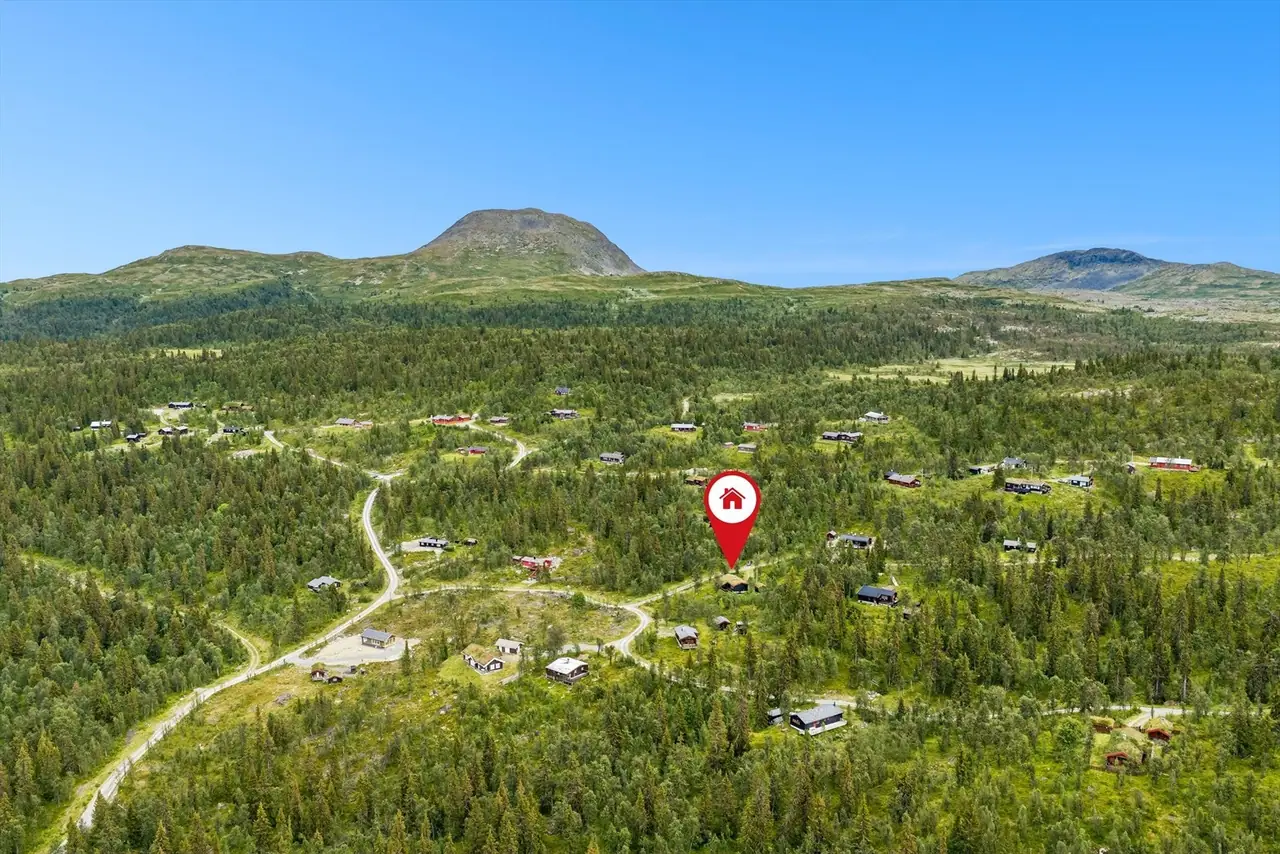Øyangen 50, Rogne