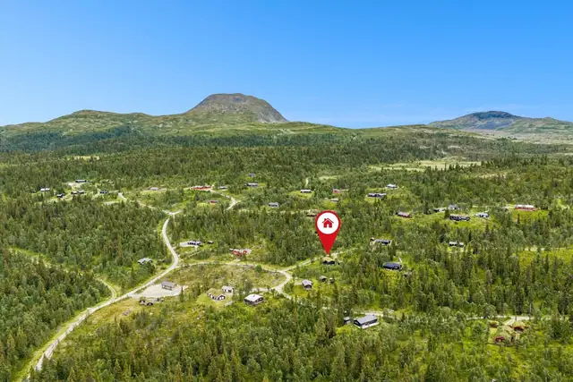 Øyangen 50, Rogne