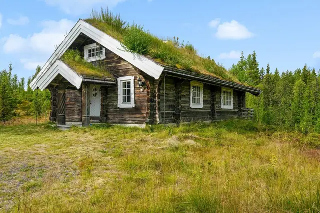 Sandebekklie 102, Tisleidalen