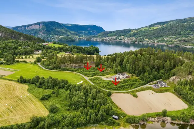 Raunebakkin, Leira