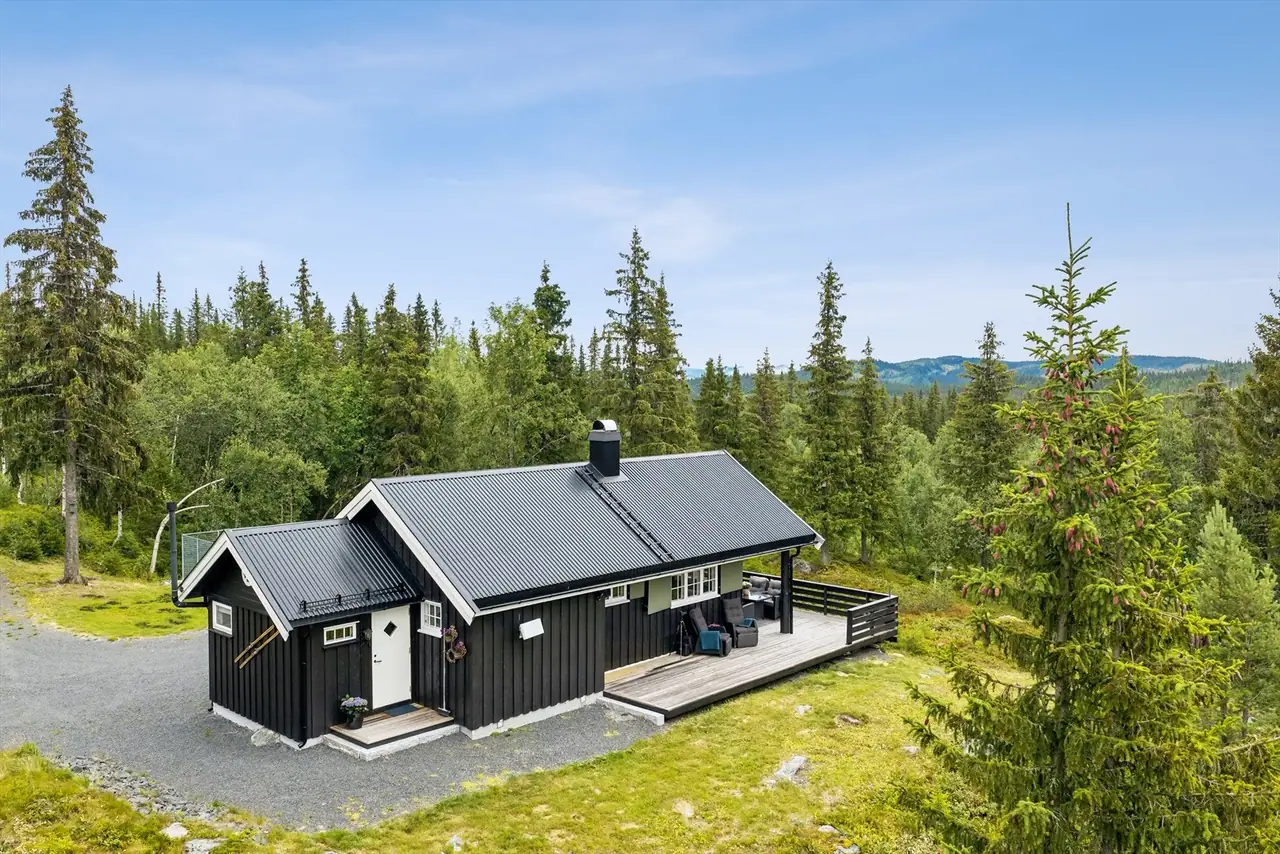 Søre Fjellstølvegen 308, Reinli