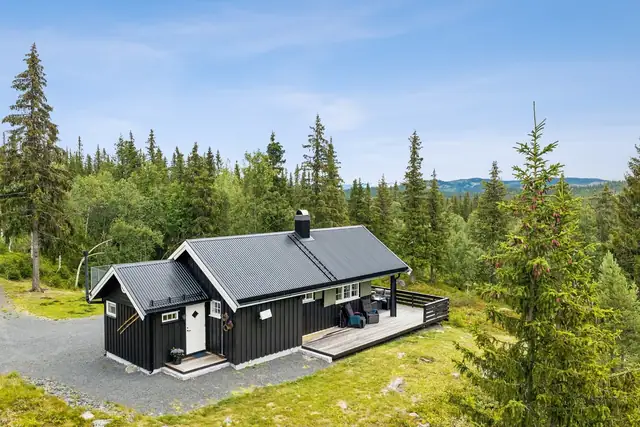 Søre Fjellstølvegen 308, Reinli