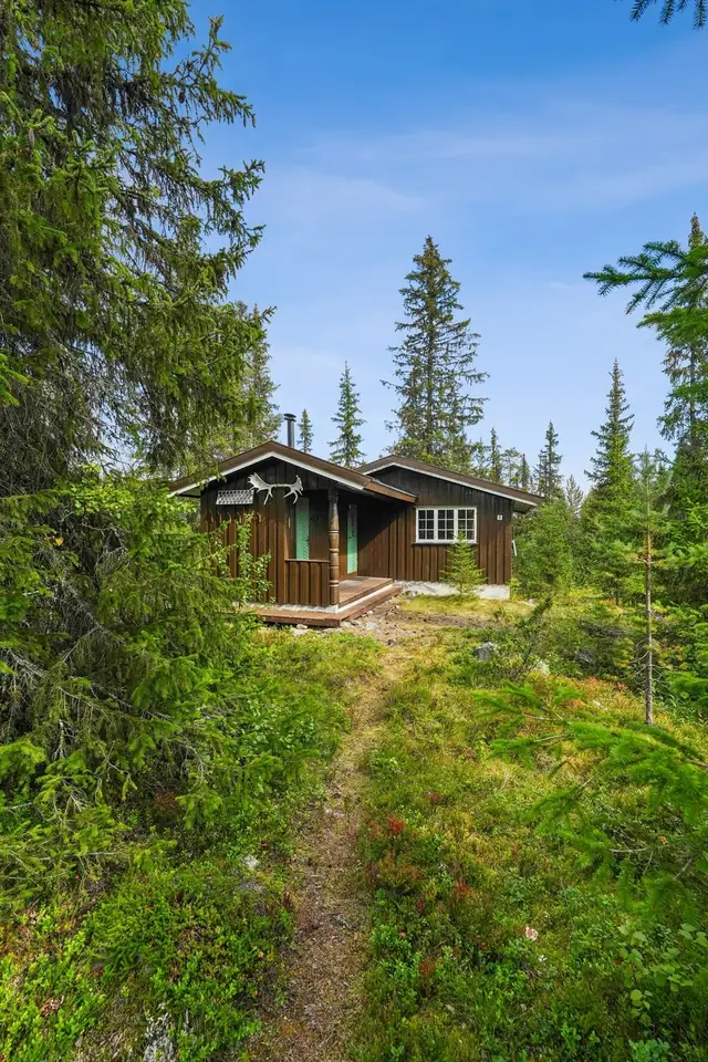 Hølervatnet 1, Bagn
