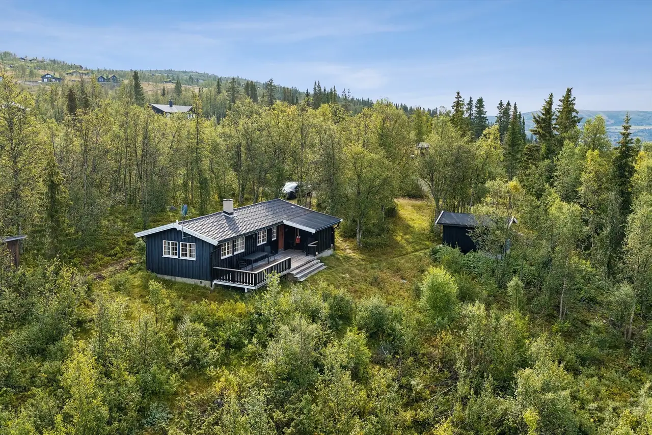 Brakastølvegen 38, Røn