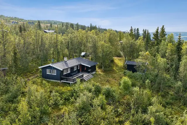 Brakastølvegen 38, Røn