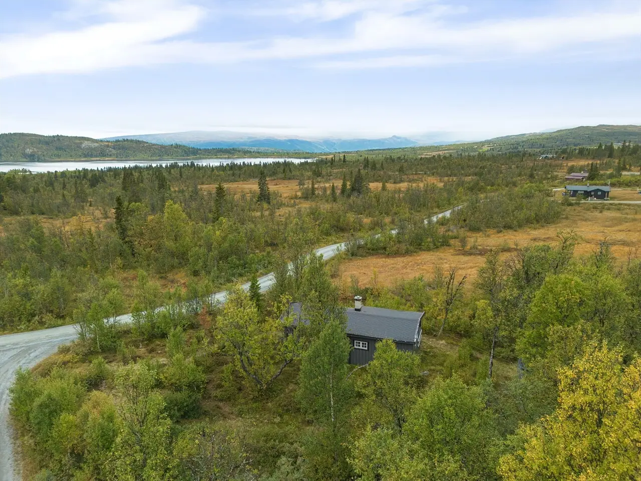 Midtre Javnlie 15, Skammestein