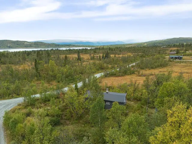 Midtre Javnlie 15, Skammestein