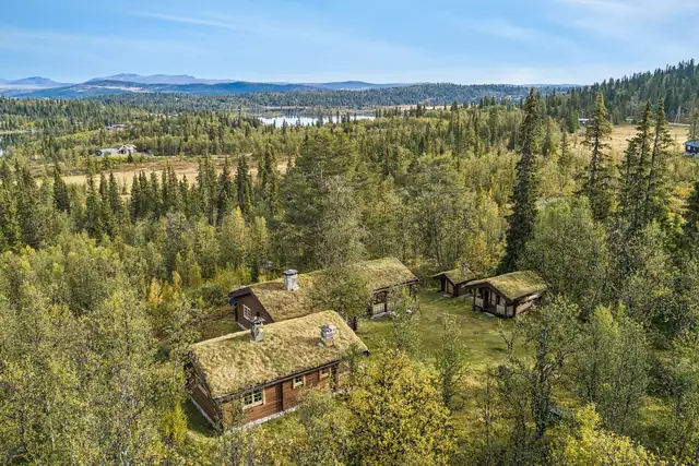 Rabalen 19, Rogne